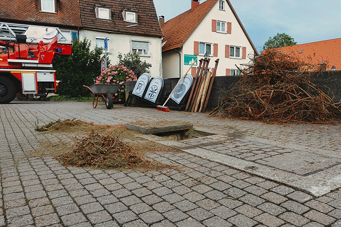 Maibaum 2022