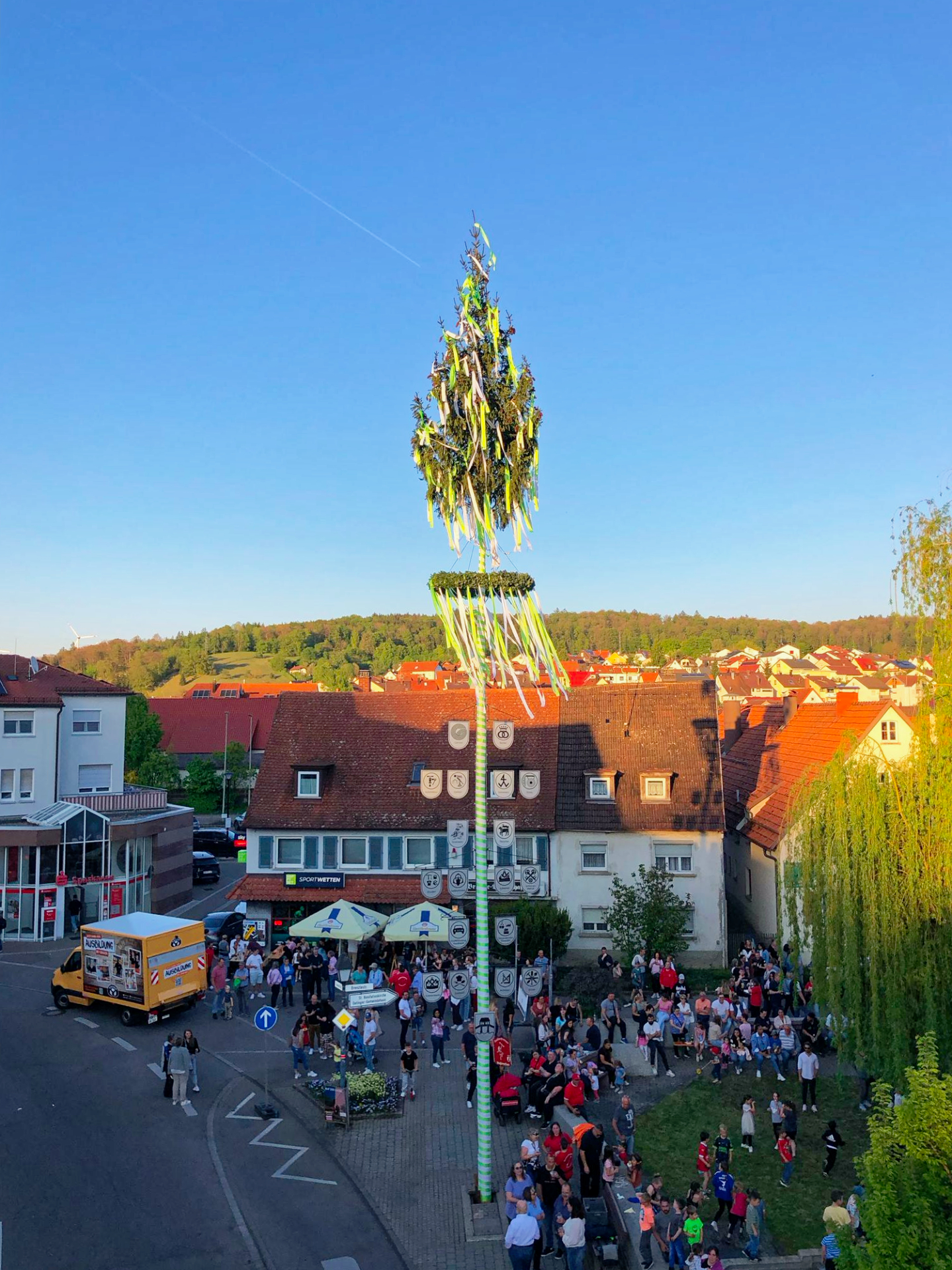 Maibaum 2025
